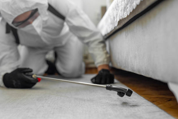 Professional Pest Control technician working in Knox County County, NE